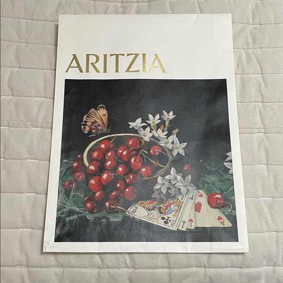Aritzia Shopping and Packaging Bags Bundle - Picture 4 of 11